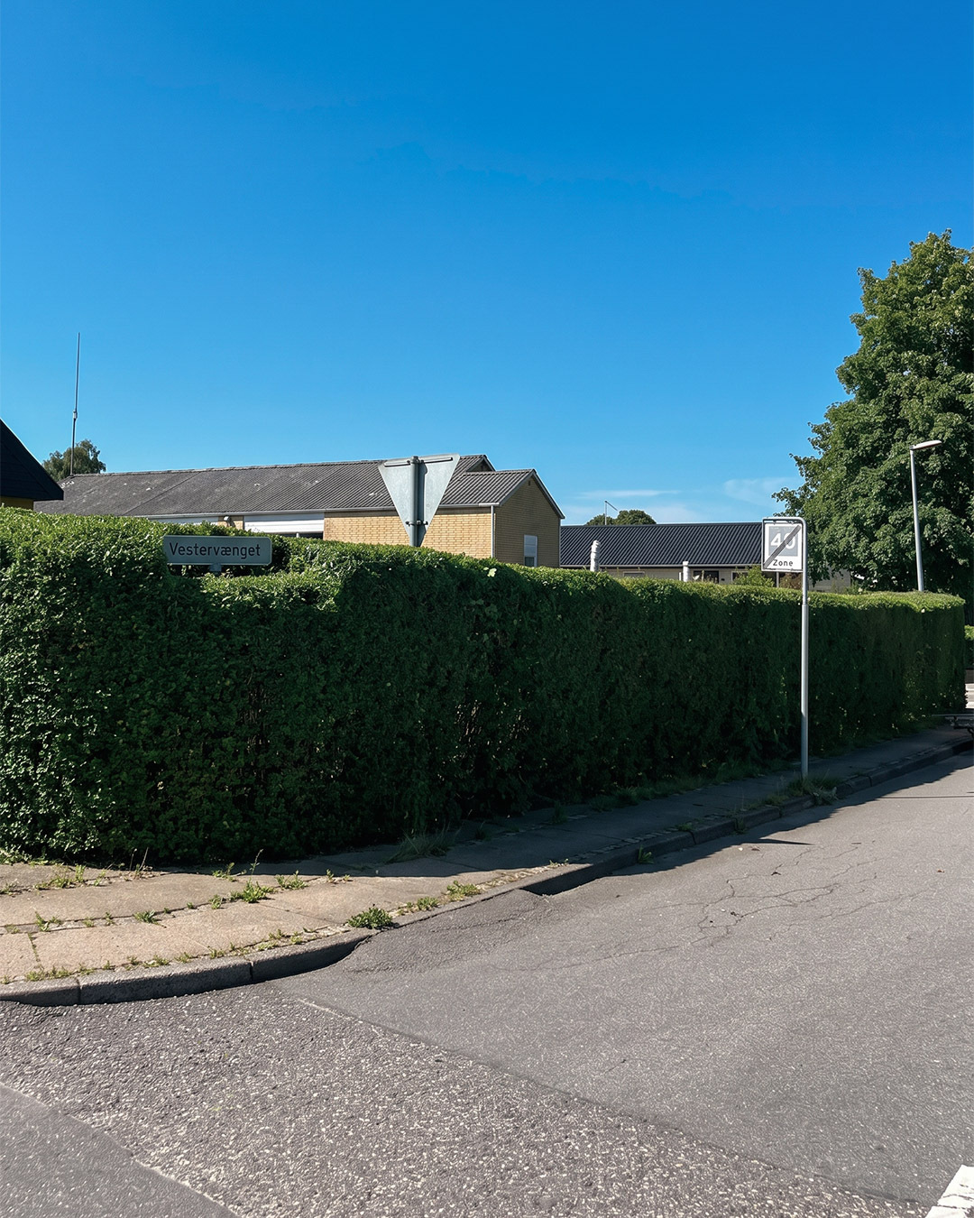 Færdig havepleje – klippet og ryddet