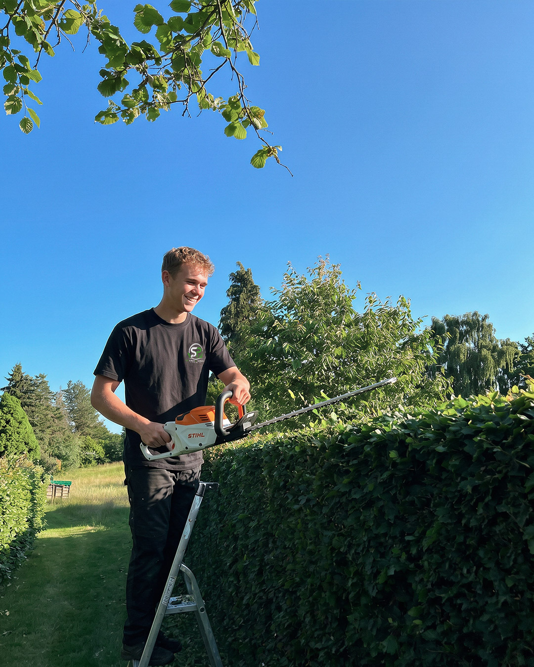 Noah Pedersen klipper hæk fra stige