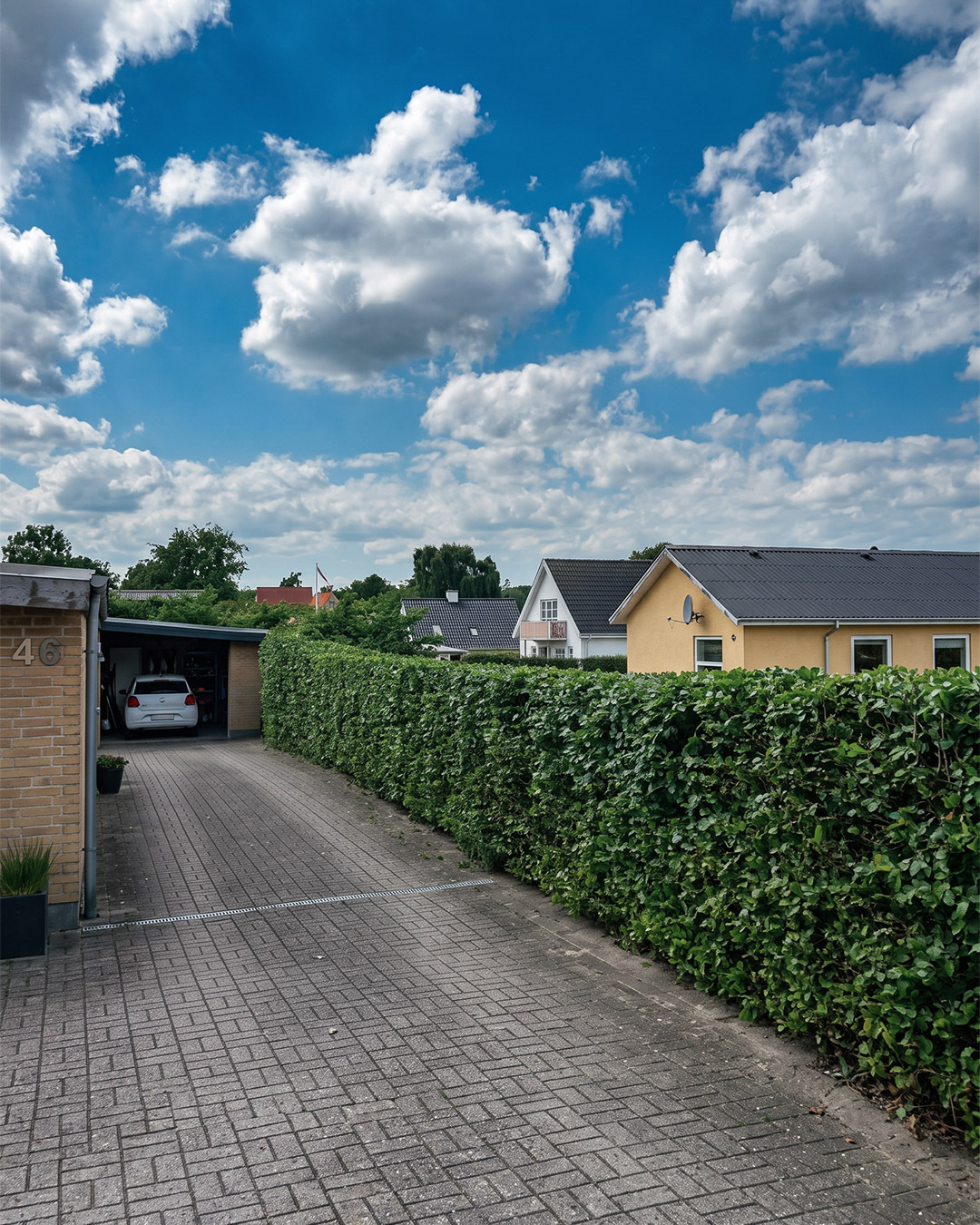 Efter: nyklippet hæk langs indkørslen