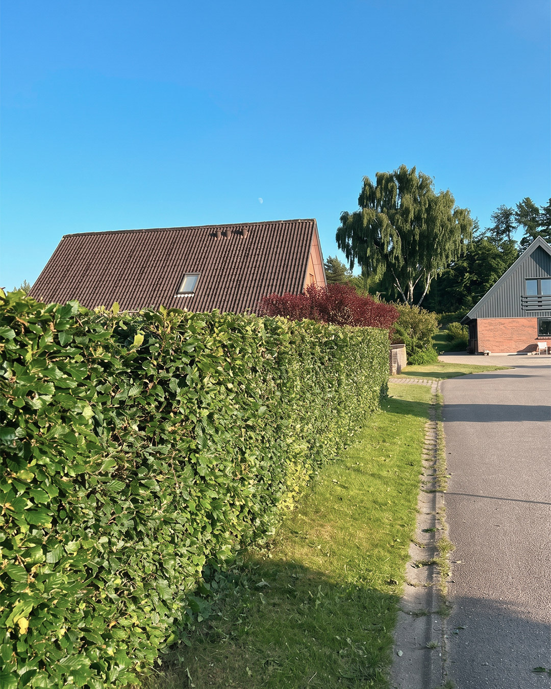 Ryddet bed langs hus